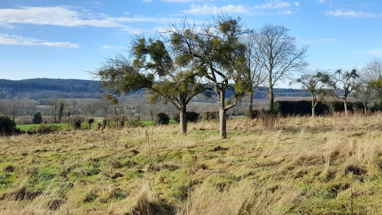Gite Cottage Chaleureux En Pleine Campagne Vue Sur Les Monts Et Forets Et Le Chateau De Carrouges Exterior foto